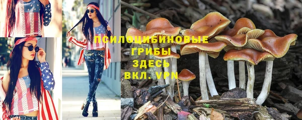 COCAINE Россошь