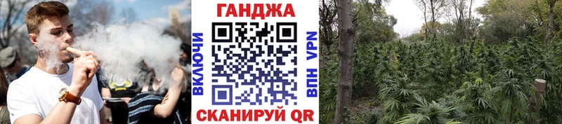 Бошки марихуана гибрид  Остров 
